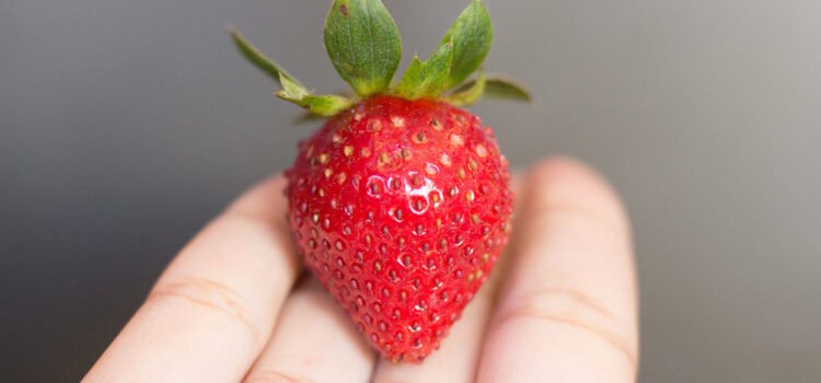 Smarter food choices 101 tips for the busy women